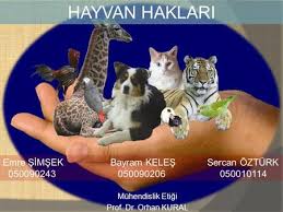 Hayvan Haklari Ve Hayvan Kanunu Ppt Video Online Indir