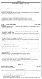 Learning Development Manager Learning Resume Sample Mintresume