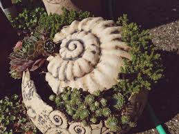 Pin Von Margot Noesen Auf Knetbeton Gartenkeramik Keramik Projekte Sukkulenten