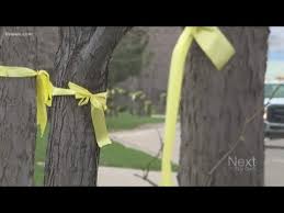 Why There Are Yellow Ribbons Tied To Trees Along A Colorado Highway Youtube