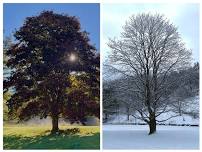 Hygge Yoga Retreat: Slowing Down & Retreating Inward