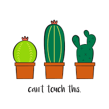Lihat ide lainnya tentang kaktus, wallpaper ponsel, lukisan kaktus. Cartoon Cactus Wallpapers Top Free Cartoon Cactus Backgrounds Wallpaperaccess