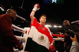 The ggt test is a simple blood test that helps doctors diagnose liver or bile duct damage. Canelo And Team Face Lawsuit Ggg Negotiations At A Stand Still Bloody Elbow