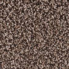 Create a custom color palette from an inspirational photo. Plush Carpet At Menards