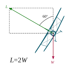 What is gravity force in science. G Force Wikipedia