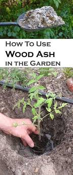 The Benefits Of Wood Ash In The Garden Ideas Garden Compost Plants Growing Vegetables