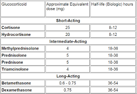 Budesonide Prednisone Conversion Prednisone Equivalent To