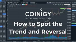 It is a theoretical expansion of the notion of behavioral economics. How To Spot The Trend And Reversal Bitcoin Technical Analysis Youtube