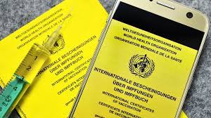 Hausärzteverband befürchtet überlastung durch digitalen impfausweis (1 min). Corona Noch Einige Offene Fragen Zum Digitalen Impfpass Ndr De Nachrichten Hamburg Coronavirus