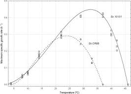 Sourdough Yeast Growth Rates At Various Temperatures The