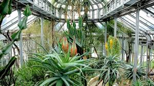 Die gewächshäuser sind wieder geöffnet! Botanischer Garten Berlin Ausflug Mit Kind Himbeer