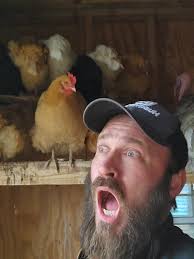 Chickens and Their 'X-Ray Vision' Humor