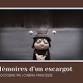 Mémoires d’un escargot - un film d'Adam Elliot event image
