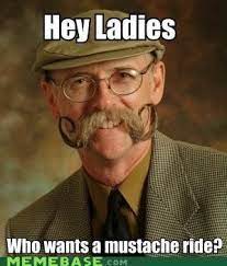Pin On Stashes