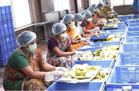 Akshaya Patra Mid Day Meal Controversy Will Food Commission Meeting Iron Out Issues The News Minute akshaya patra mid day meal controversy