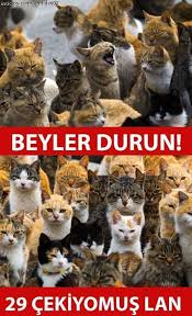 Beyler Durun 29 Cekiyomus Lan Mizah Matrak Komik Espri Saka Girgir Komiksozler Caps Mart Kedi Eglenceli Resimler Komik Komik Seyler
