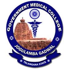 Government Medical College Jogulamba Gadwal