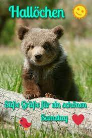 Finde hier schöne & lustige osterbilder. Weblogs Lustig Bilder