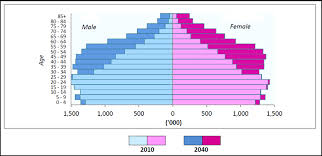 Malaysia ended 2019 with a population of 32,523,000 people, which represents an increasea of 141,000 people compared to 2018. Malaysia S Population Pyramid 2010 And 2040 Department Of Statistics Download Scientific Diagram