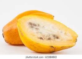 Image result for Vasconcellea pubescens