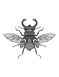 pin on coloriage d animaux animal adult coloring page pour les enfants abeille
