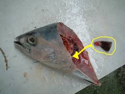 これいいらぁ - ココログ