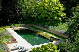 Natural Swimming Pool Gardens Zwembad Ontwerpen Zwembad Achtertuin Tuin Zwembad