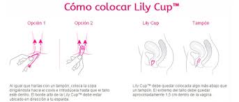Ziggy es una copa menstrual de intimina reutilizable que se puede usar durante las relaciones sexuales. Comprar Intimina Lily Cup Copa Menstrual Tamano A A Precio Online