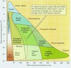 Ess Topic 2 4 Biomes Zonation And Succession Amazing