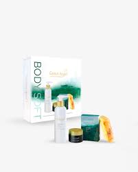 Image result for Green Angel 2018 Fleet