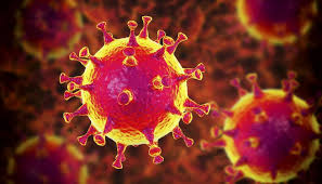 Alle daten zu den neuansteckungen mit dem coronavirus, zur positivitätsrate, zu den hospitalisierungen und todesfällen findest du hier. Borsennachrichten Aktuelle News Online Cash