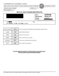 Disclosed Bengal Kitten Weight Chart Growth Chart For Cats