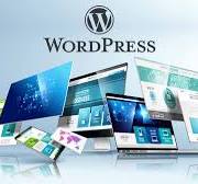 Wordpress Website Design. Affordable. Local. 25+ Yrs Experience.