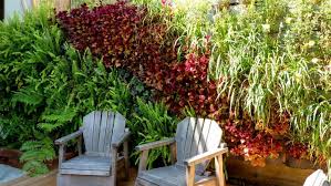 Garten Sichtschutz Pflanzen Vertikal Rot Grun Stuhle Holz Pflanzen Garten Pflanzenwand