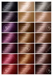 Color Chart For Hair Dye Hair Color Palette With A Wide Range