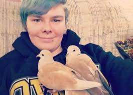 I need to rehome a rescue I helped a couple months ago....located in  vancleave Mississippi.