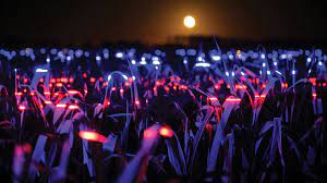 After more than two years of research and development, daan roosegaarde and his team of designers and experts have. Daan Roosegaarde Stirworld