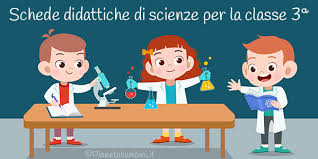 Schede Didattiche Di Scienze Per La Classe Terza Pianetabambini It