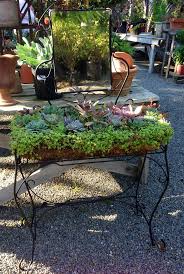 Succulent Gardens Have You Wondered On How To Decorate Your Garden Which Plants To Grow What Tools And Requi Succulent Garden Design Plants Succulents Garden