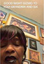 Goodnight Gizmo: Heartfelt Wishes for Grandma