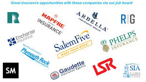 This means that the auto insurance rate you are quoted by one company might not match your quote from a competing company. Naic Top 25 Auto Insurers Us Agency Checklists