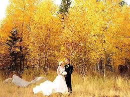 High Mountain Weddings Lake Tahoe All Inclusive Wedding Elopement Outdoor Wedding Venues California California Outdoor Wedding Tahoe Wedding