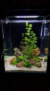 Mini Aqua Vivarium Mini Vivarium Fresh Water Fish Tank Aquarium Decorations Tropical Fish Tanks