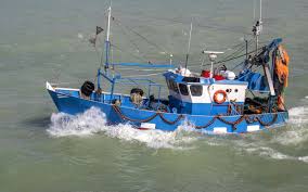 Epingle Sur Peche
