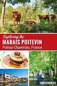 Exploring The Marais Poitevin Coulon Poitou Charentes France Paris France Travel France Poitou