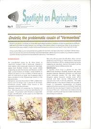 Image result for Geigeria schinzii