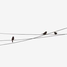 Black Hand Painted Little Bird Telephone Pole Wire Cartoon Pole Circuit Facility Png Transparent Clipart Image And Psd File For Free Download Flying Bird Silhouette Black Hand Bird Silhouette