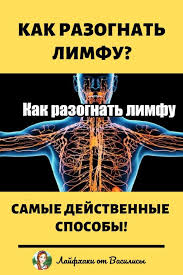 kak razognat limfu samye dejstvennye sposoby zdorove limfaticheskaya sistema zhurnal o zdorove