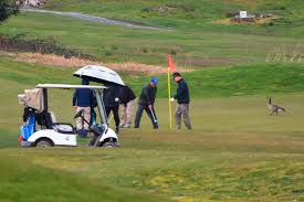 The most comprehensive list of golf clubs and golf courses in the world. It S Day By Day Here Guildford Golf Course Stays Open As Covid 19 Concerns Grow Surrey Now Leader
