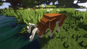 Bonfire, toss blaze powder into fire (configurable activator item) Better Animals Plus Mod For Minecraft 1 14 4 1 12 2